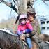 West Tennessee Open All-Age and Derby Stake